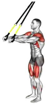 TRX Forward Lunge with Rear Fly thumbnail thumbnail