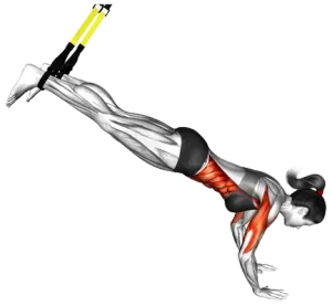 TRX Incline Push-Up thumbnail thumbnail