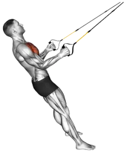 TRX Internal Rotation thumbnail thumbnail