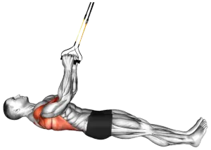 TRX Parallel Inverted Row to Floor the thumbnail thumbnail