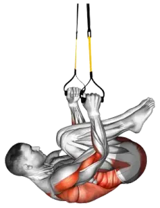 TRX Knee-Tuck Row thumbnail thumbnail