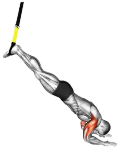 TRX Tricep Press thumbnail thumbnail