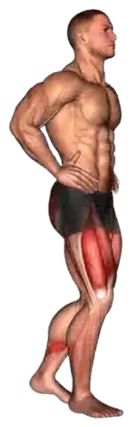 Walking Lunge demo video 2