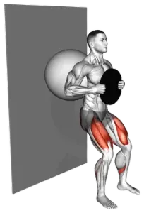Exercise Ball Weighted Wall Squat thumbnail thumbnail