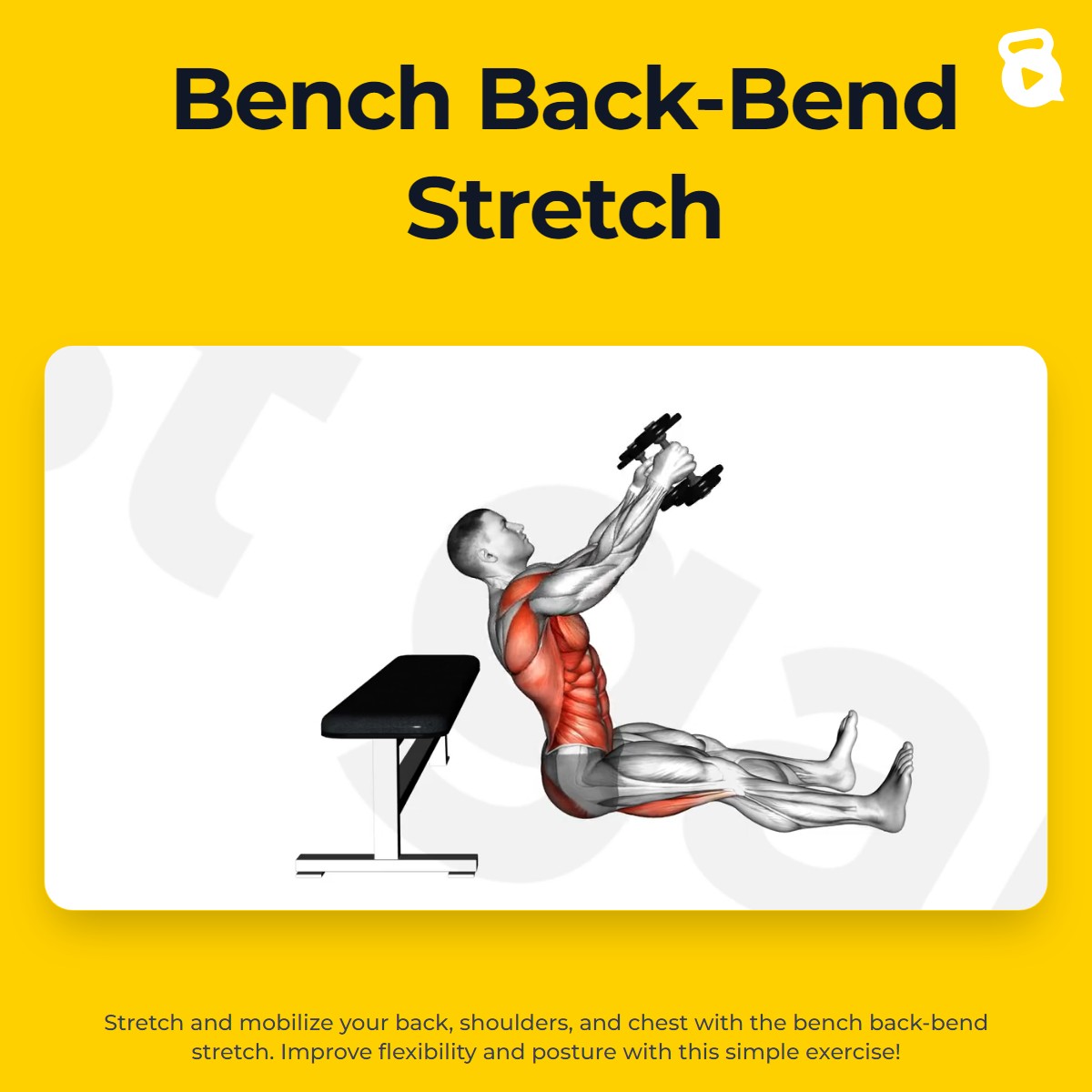 Bench Back-Bend Stretch | JustGains
