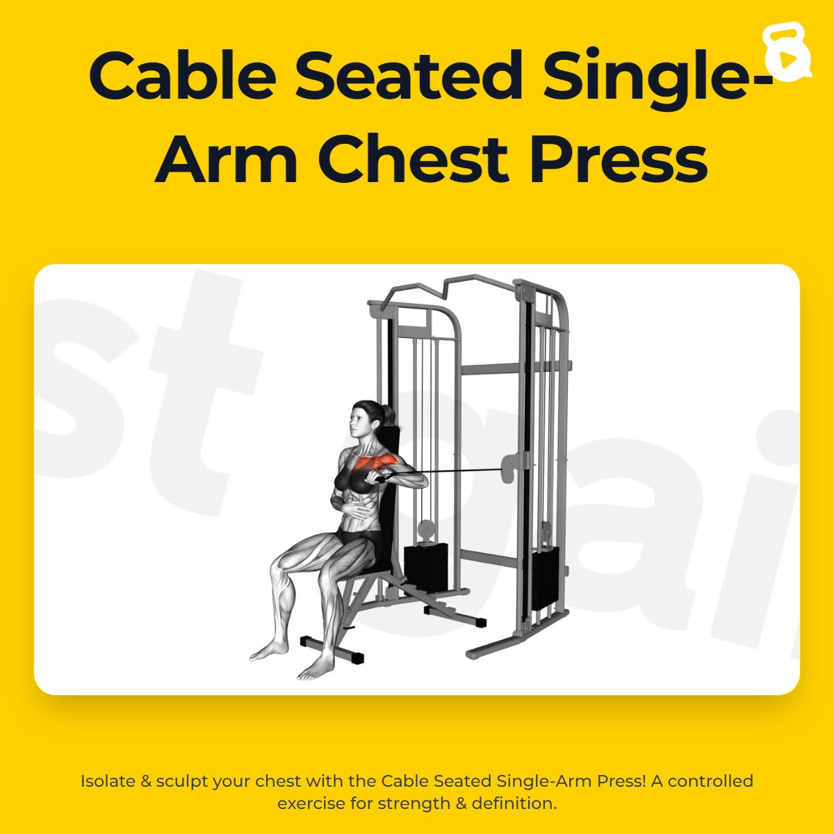 Cable Seated Single-Arm Chest Press | JustGains