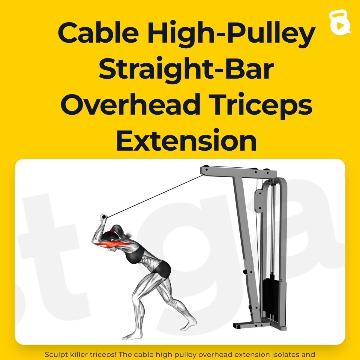 Cable High-Pulley Straight-Bar Overhead Triceps Extension | JustGains