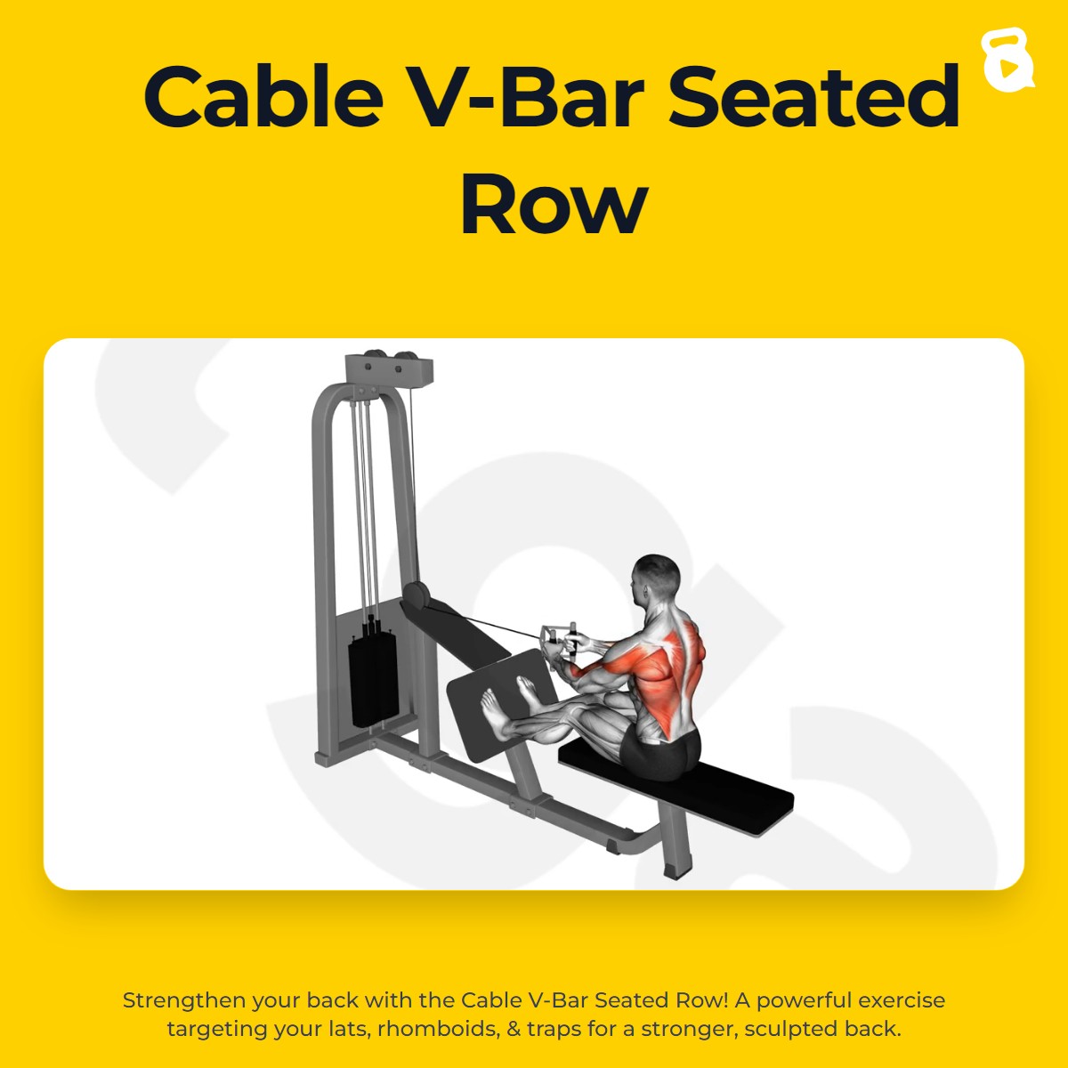 Cable V-Bar Seated Row | JustGains