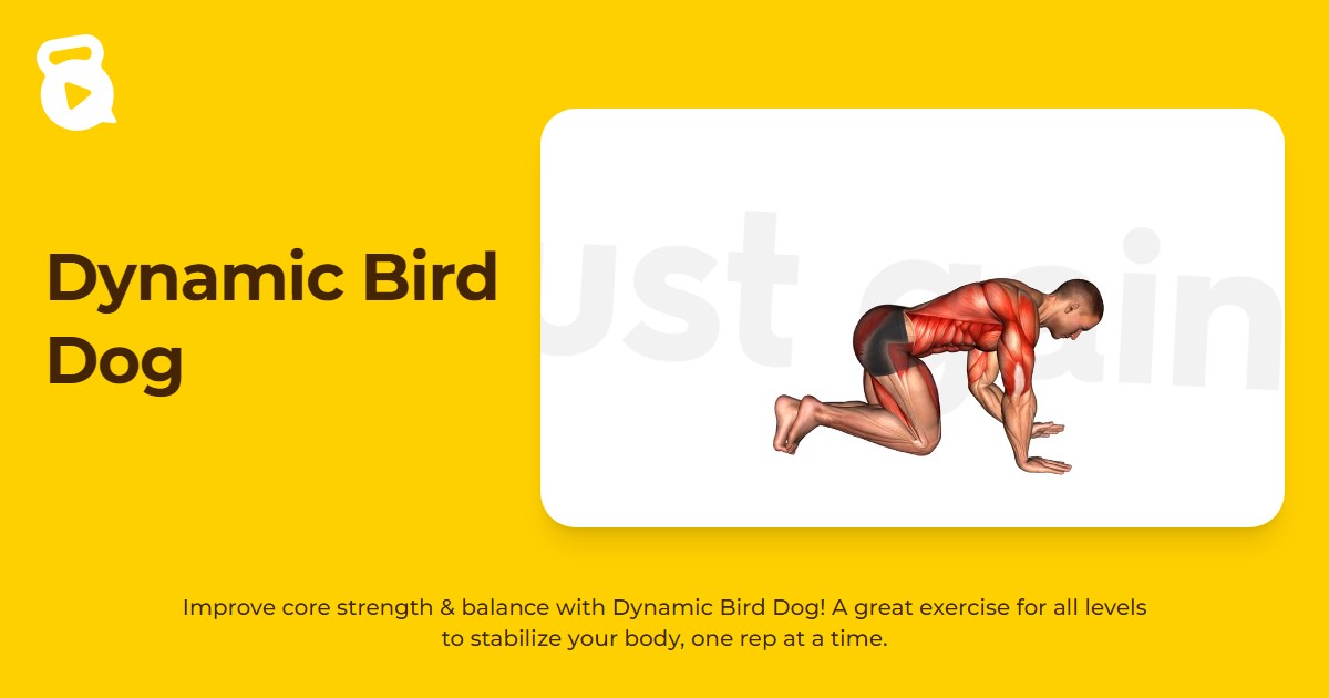 Dynamic Bird Dog | JustGains