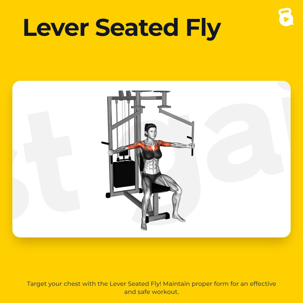 Lever Seated Fly | JustGains
