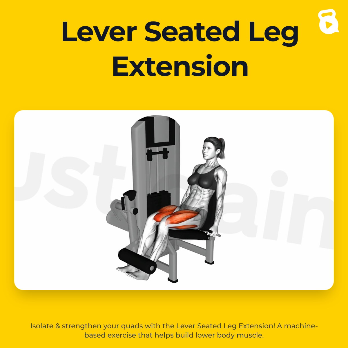 Machine Seated Leg Extension | JustGains