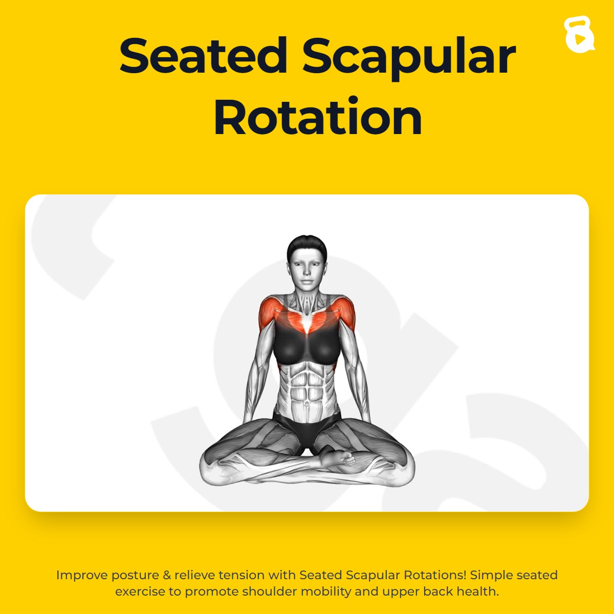 Seated Scapular Rotation | JustGains