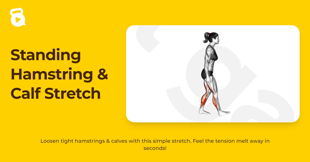 Standing Hamstring & Calf Stretch | JustGains